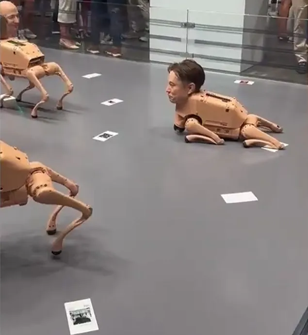 图片[2]-花70万买只“马斯克狗”回家？这赛博朋克艺术我不理解！-张小白的博客