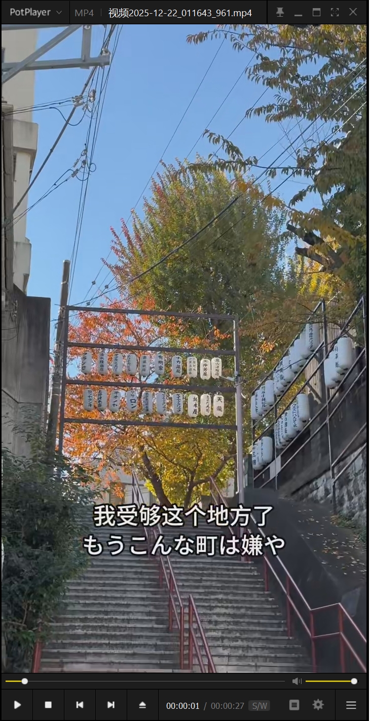 图片[8]-全网都在找的“张小白”旗舰版：竖版视频秒变大片横屏，手慢无！-张小白的博客