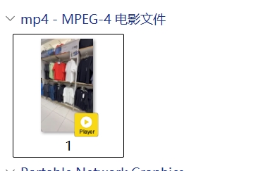 图片[12]-突破限制！2026最新免费下载视频号视频绝招，100%不封号！-张小白的博客